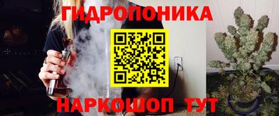 шишки Кунгур