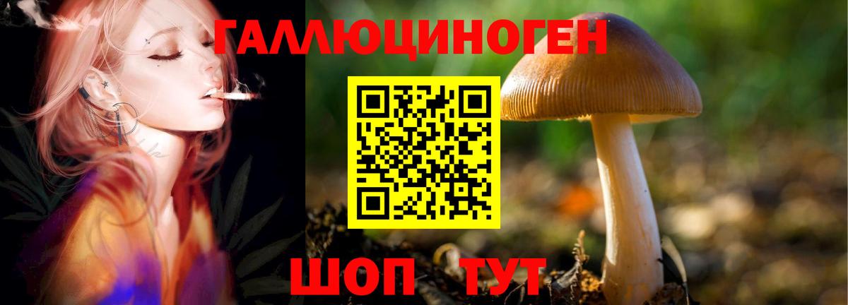 Заводоуковск  Галлюциногенные грибы Psilocybine cubensis  закладка  Вход с VPN 
