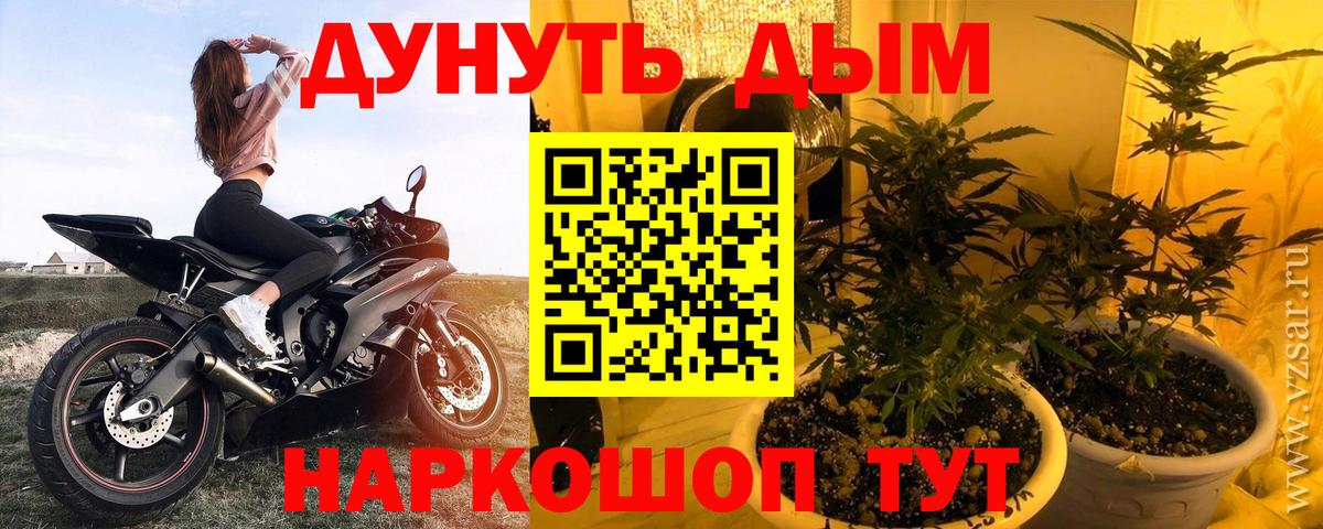 Бошки Шишки SATIVA & INDICA  Бошки Шишки сатива  Вход с VPN  Заводоуковск  Шишки марихуана план  Каннабис SATIVA & INDICA 